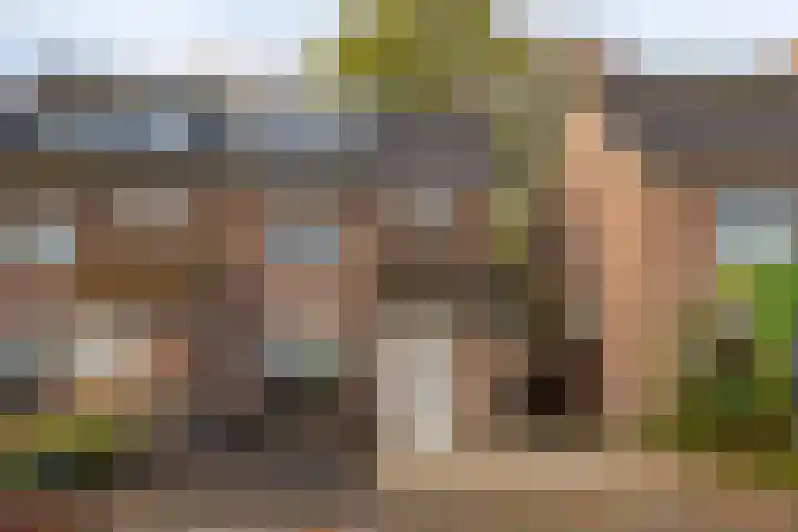 Valeriaan 32 Goirle