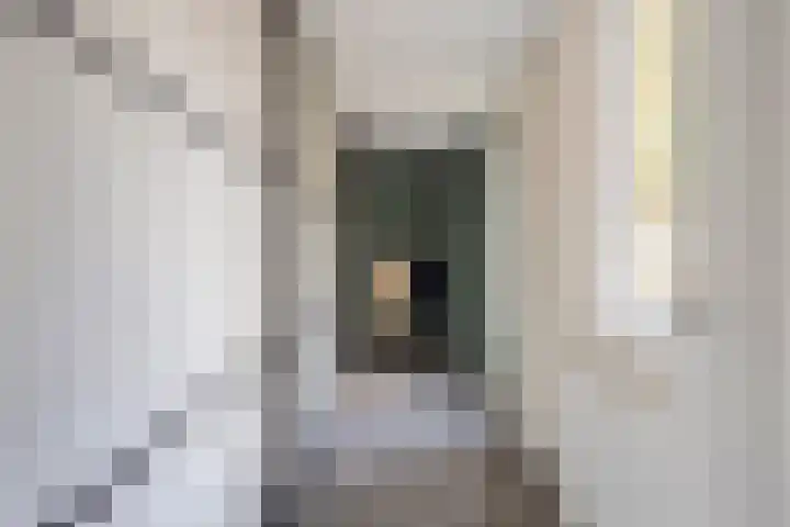 Valeriaan 32 Goirle thumbnail 12