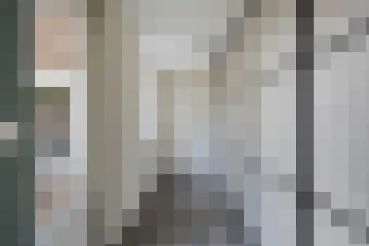 Valeriaan 32 Goirle thumbnail 13