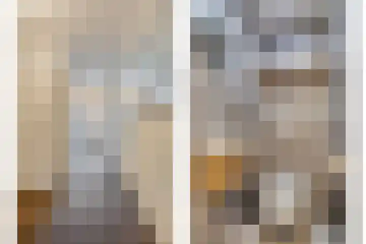 Valeriaan 32 Goirle thumbnail 14