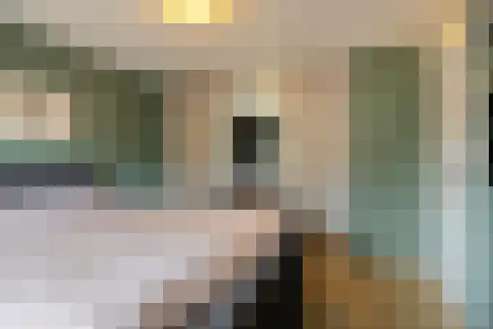 Valeriaan 32 Goirle thumbnail 16