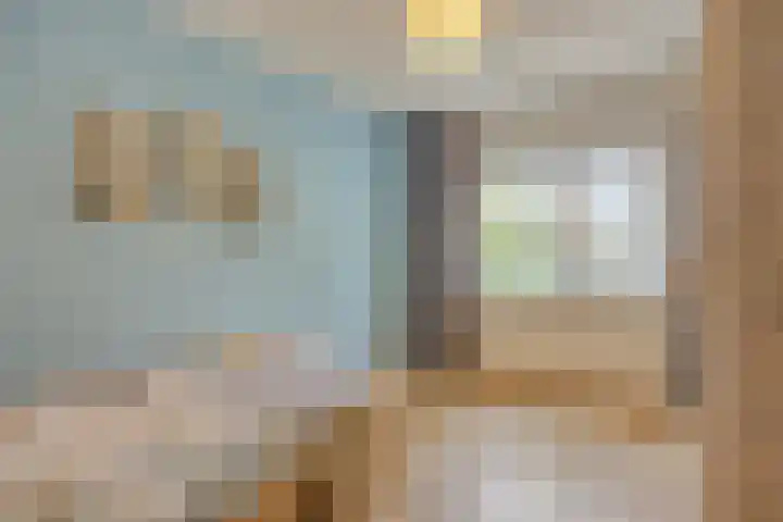 Valeriaan 32 Goirle thumbnail 17