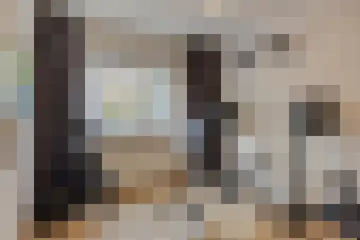 Valeriaan 32 Goirle thumbnail 19