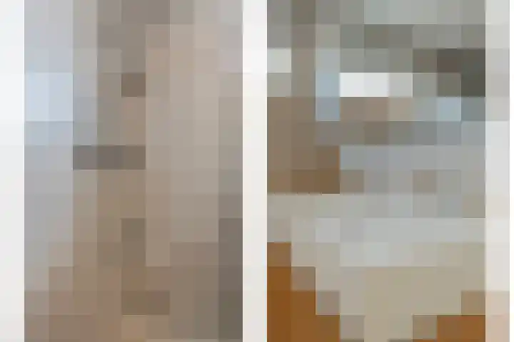 Valeriaan 32 Goirle thumbnail 23