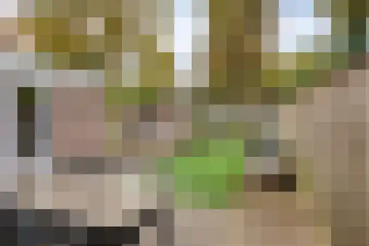 Valeriaan 32 Goirle thumbnail 29