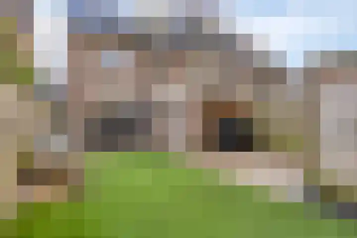 Valeriaan 32 Goirle thumbnail 30