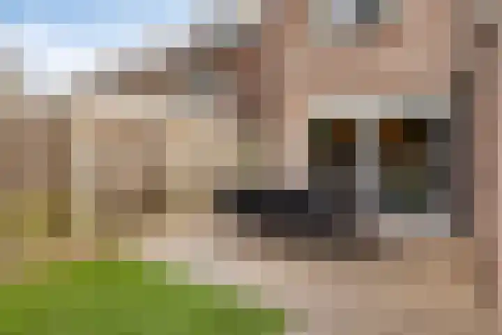 Valeriaan 32 Goirle thumbnail 32