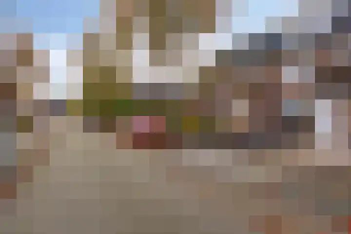 Valeriaan 32 Goirle thumbnail 34