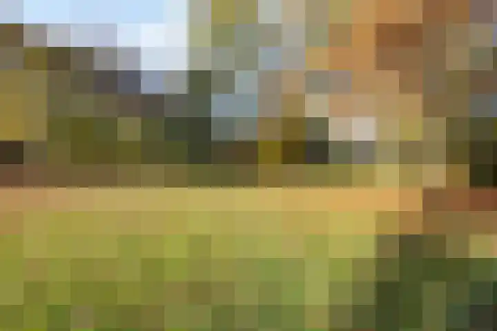 Valeriaan 32 Goirle thumbnail 35