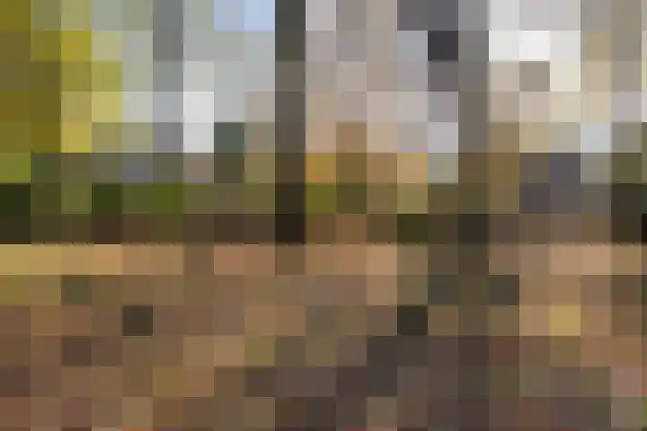 Valeriaan 32 Goirle thumbnail 36
