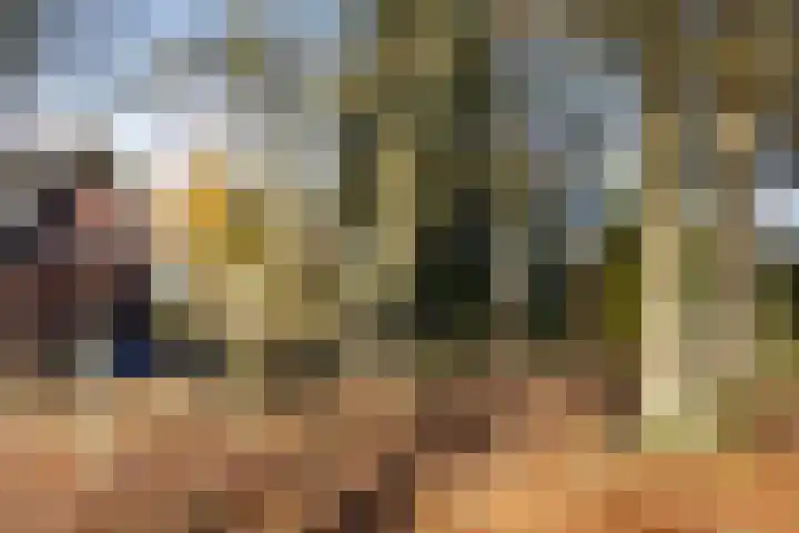 Valeriaan 32 Goirle thumbnail 37