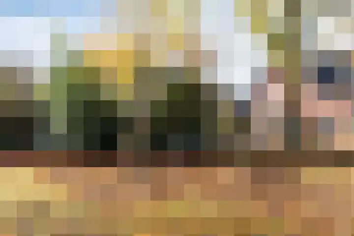 Valeriaan 32 Goirle thumbnail 38