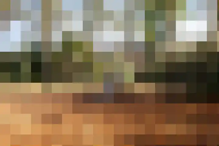 Valeriaan 32 Goirle thumbnail 39