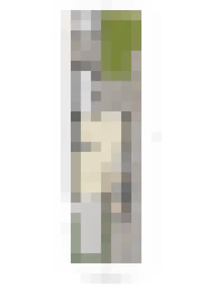 Valeriaan 32 Goirle thumbnail 44