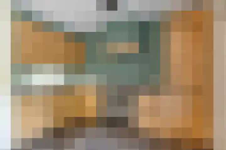 Valeriaan 32 Goirle thumbnail 8