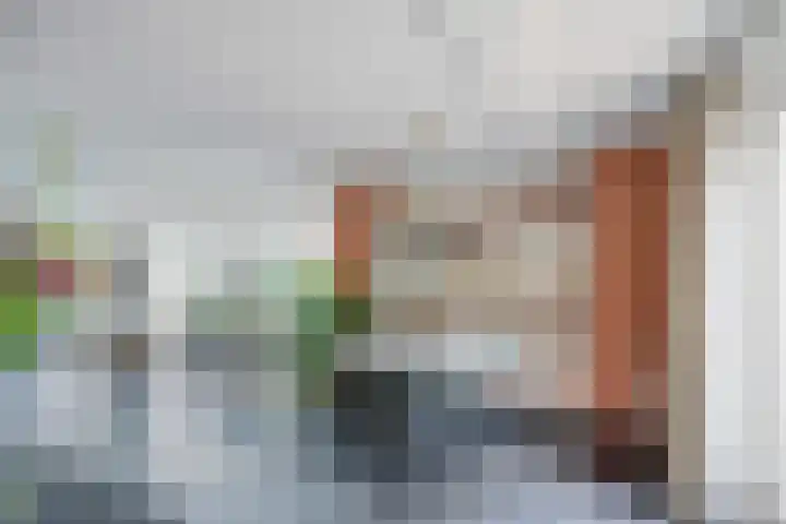 Valeriaan 35 Meppel thumbnail 10