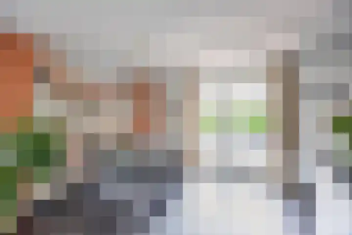Valeriaan 35 Meppel thumbnail 11