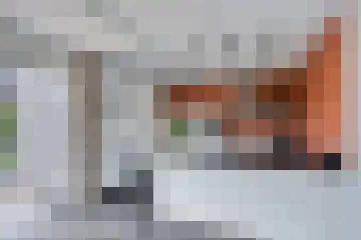 Valeriaan 35 Meppel thumbnail 12