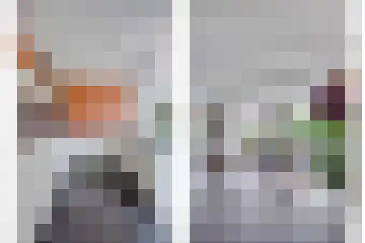 Valeriaan 35 Meppel thumbnail 13