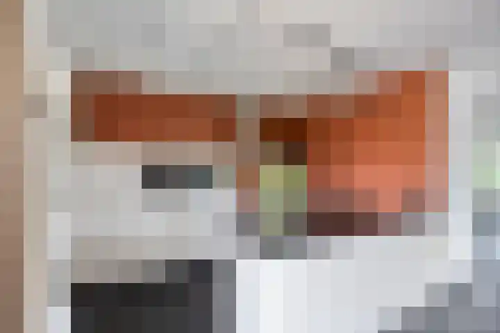 Valeriaan 35 Meppel thumbnail 14