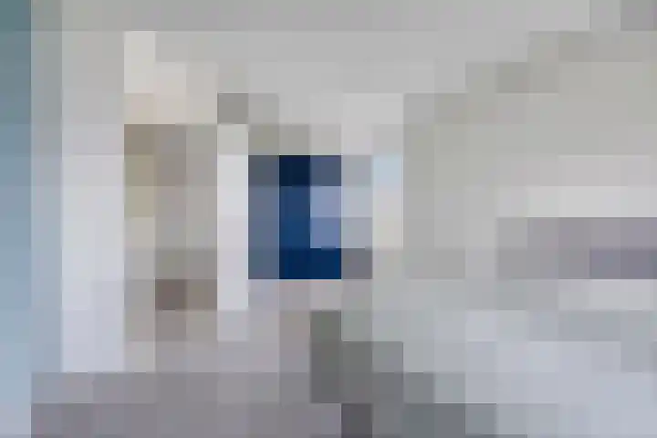 Valeriaan 35 Meppel thumbnail 22