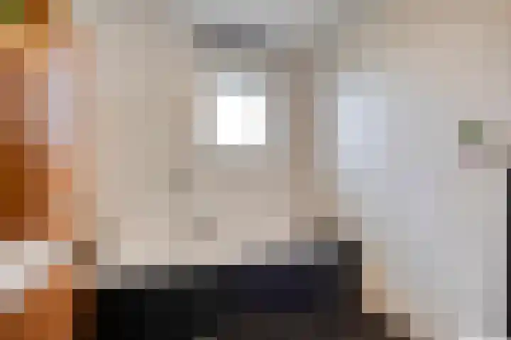 Valeriaan 35 Meppel thumbnail 23