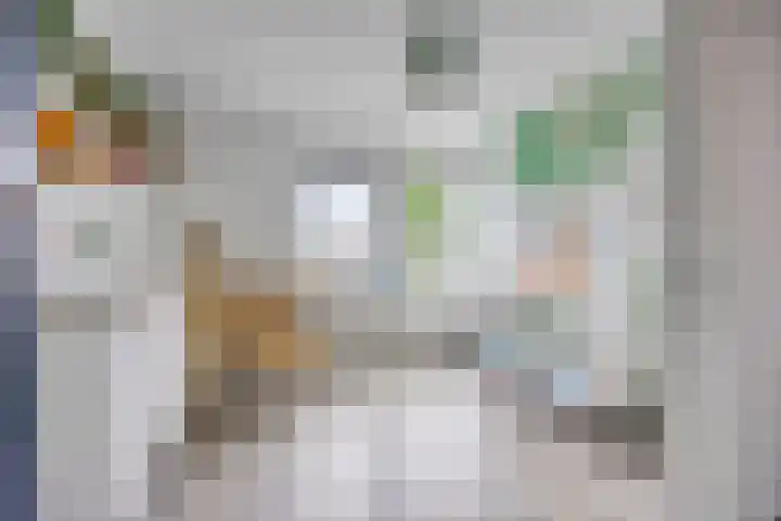 Valeriaan 35 Meppel thumbnail 26