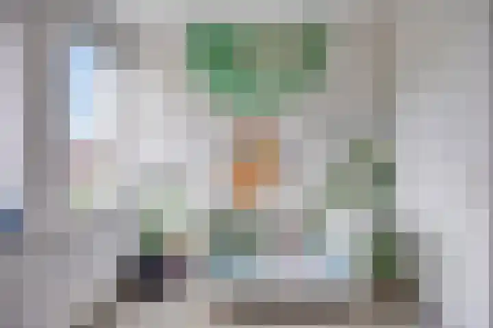 Valeriaan 35 Meppel thumbnail 27