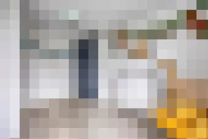 Valeriaan 35 Meppel thumbnail 28