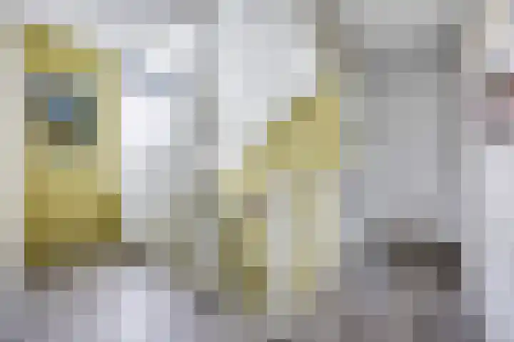 Valeriaan 35 Meppel thumbnail 31