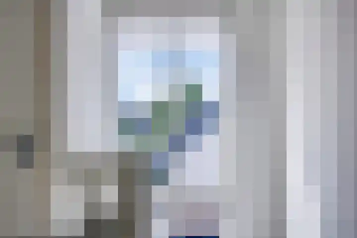 Valeriaan 35 Meppel thumbnail 32