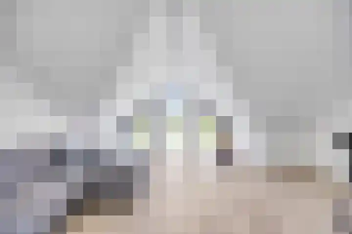 Valeriaan 35 Meppel thumbnail 33