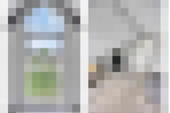 Valeriaan 35 Meppel thumbnail 34