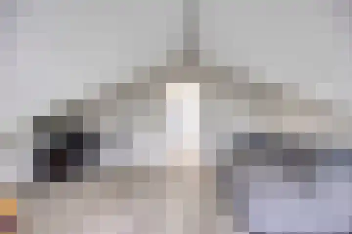 Valeriaan 35 Meppel thumbnail 35