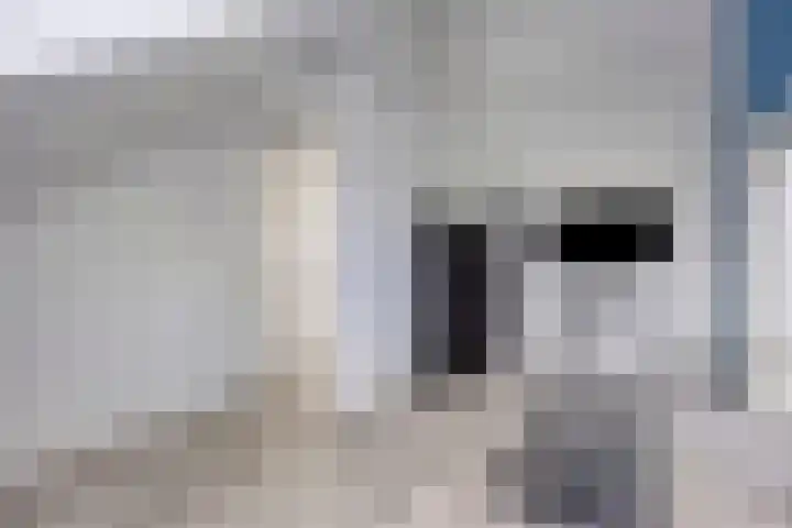 Valeriaan 35 Meppel thumbnail 37