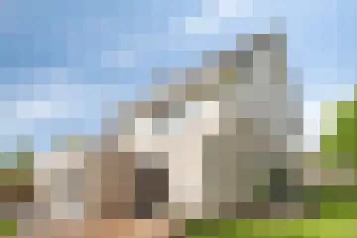 Valeriaan 35 Meppel thumbnail 39