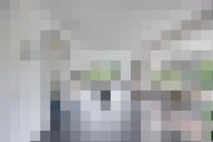 Valeriaan 35 Meppel thumbnail 4