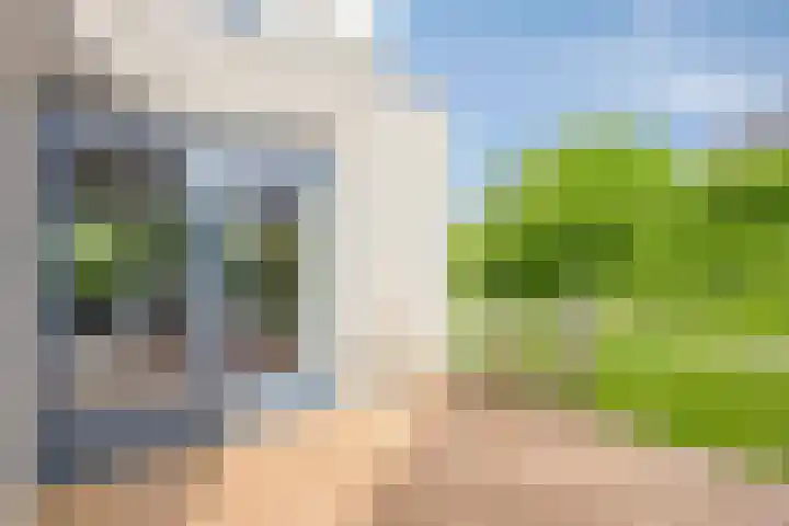 Valeriaan 35 Meppel thumbnail 40
