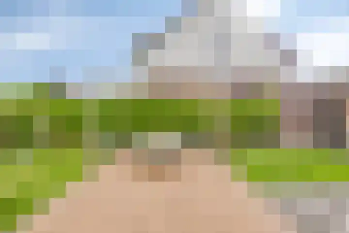 Valeriaan 35 Meppel thumbnail 42