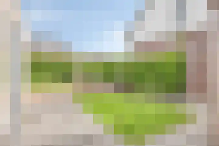 Valeriaan 35 Meppel thumbnail 43