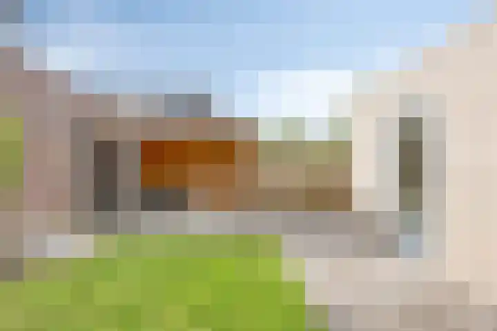 Valeriaan 35 Meppel thumbnail 44