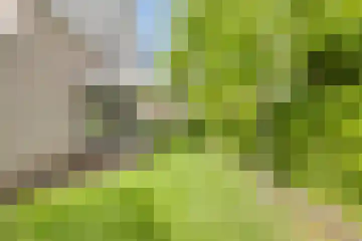 Valeriaan 35 Meppel thumbnail 47