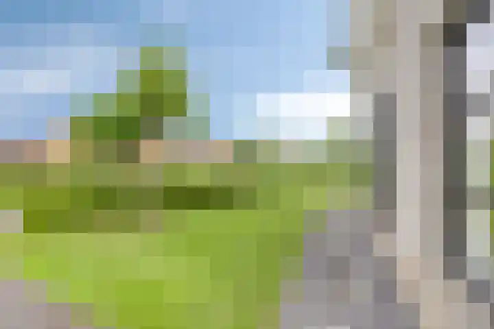 Valeriaan 35 Meppel thumbnail 48