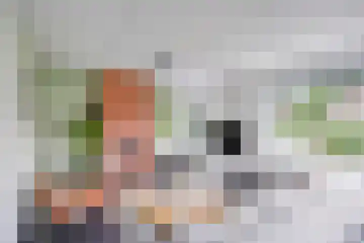 Valeriaan 35 Meppel thumbnail 5