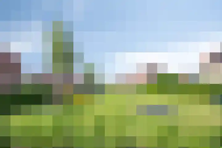 Valeriaan 35 Meppel thumbnail 55