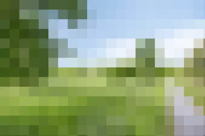 Valeriaan 35 Meppel thumbnail 56