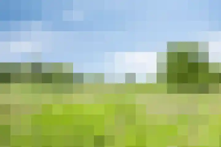 Valeriaan 35 Meppel thumbnail 57
