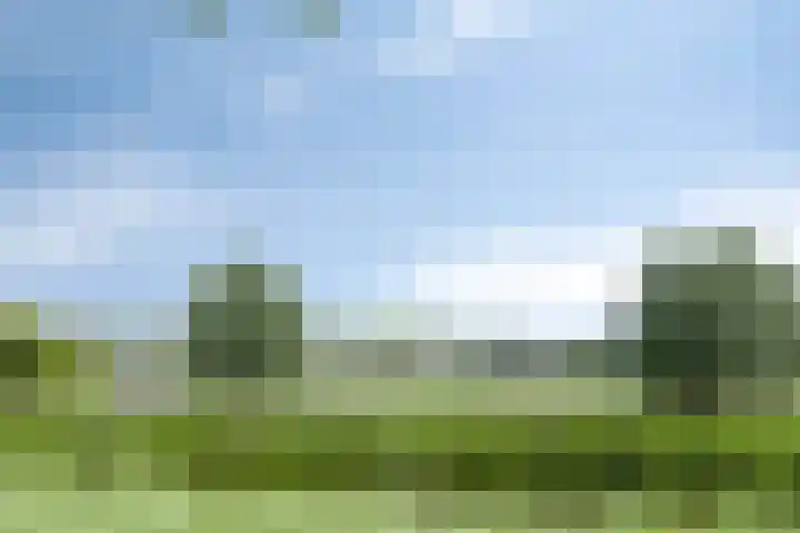 Valeriaan 35 Meppel thumbnail 58