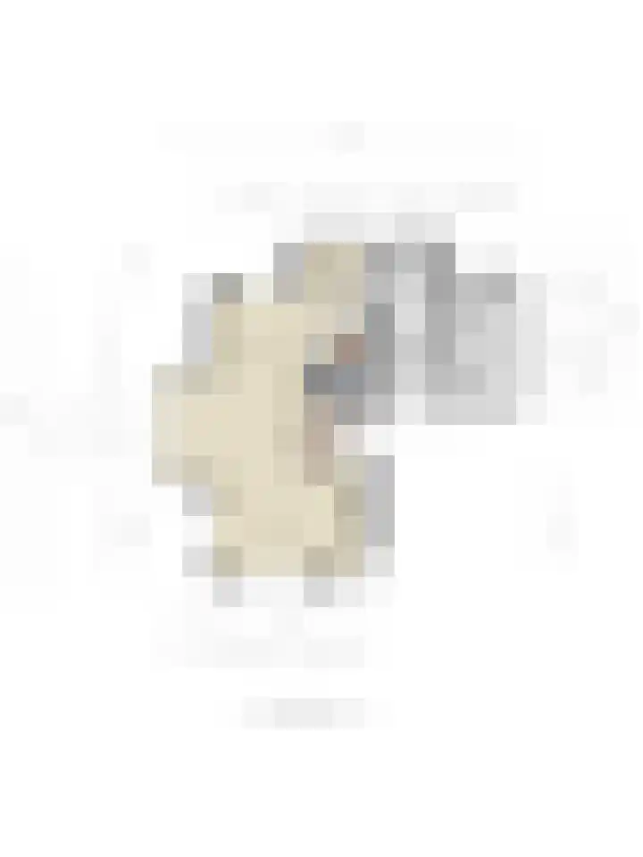 Valeriaan 35 Meppel thumbnail 59