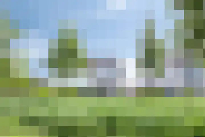 Valeriaan 35 Meppel thumbnail 63